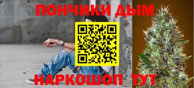 сатива Заводоуковск