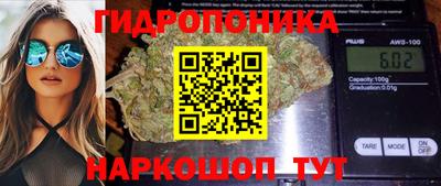 сатива Заводоуковск