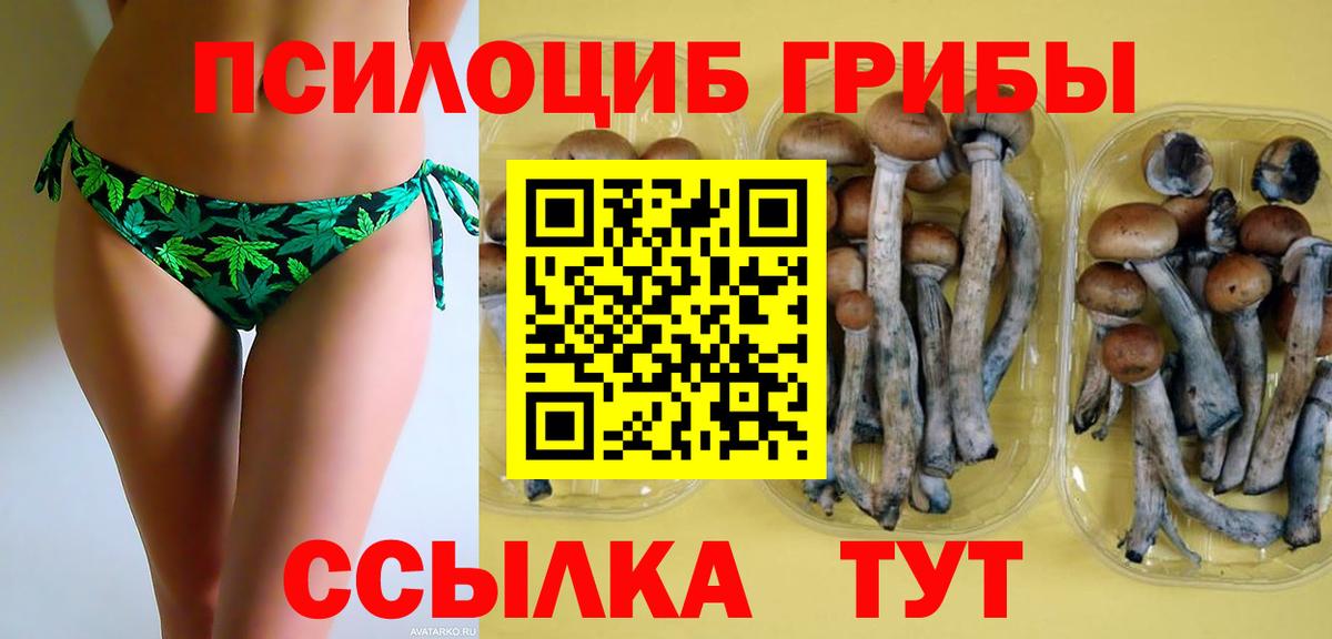Псилоцибиновые грибы Psilocybe  Вход с VPN  Котовск 